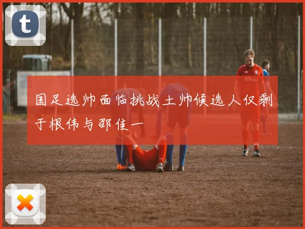 国足选帅面临挑战土帅候选人仅剩于根伟与邵佳一