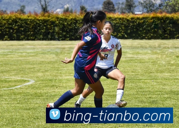 天博体育发展历程